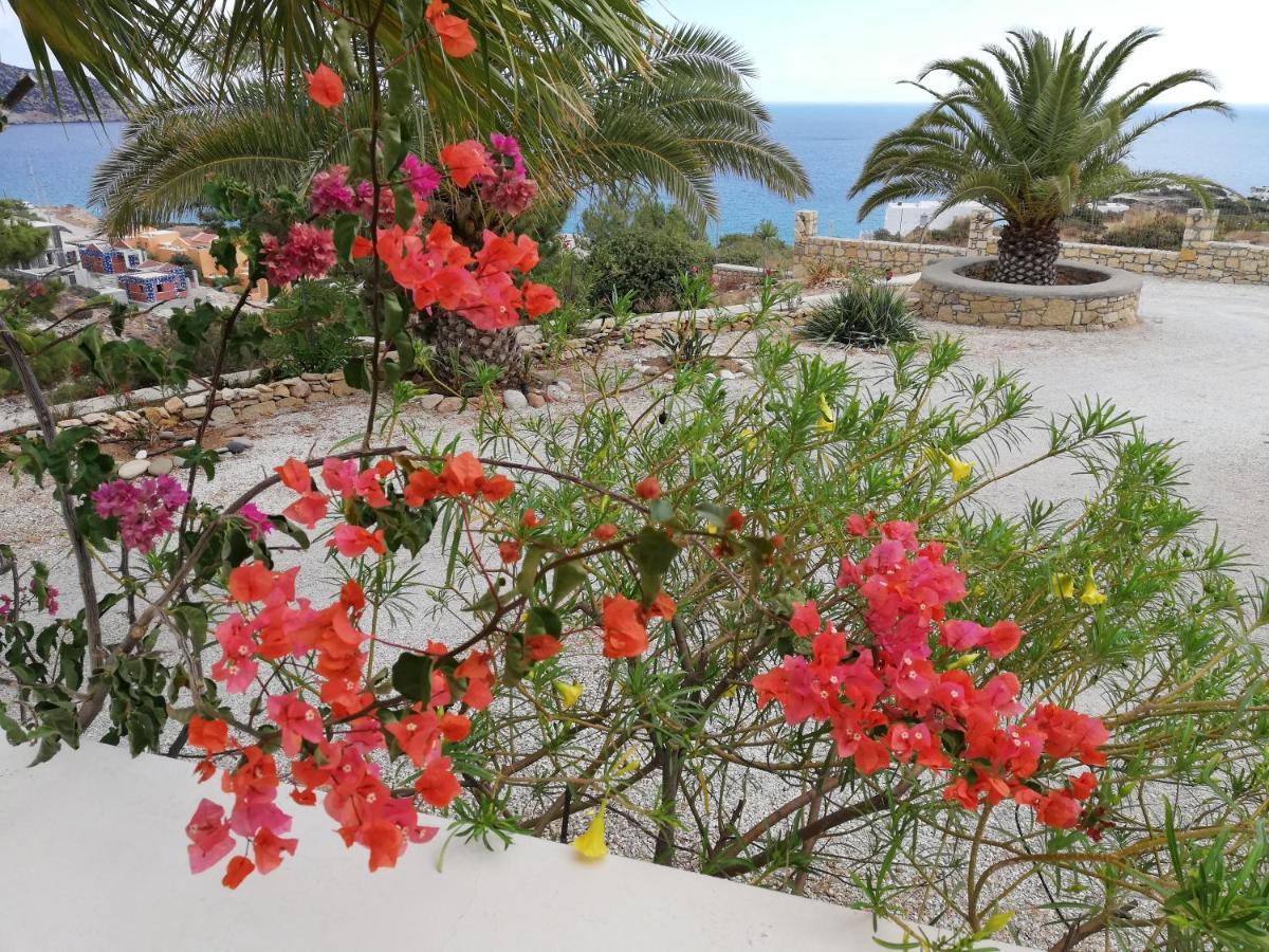 Tranquil Villa With Sea View In Ammopi Karpathos Amoopi Extérieur photo